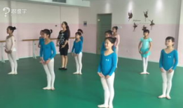 芭蕾舞蹈视频,芭蕾舞者的优雅演绎